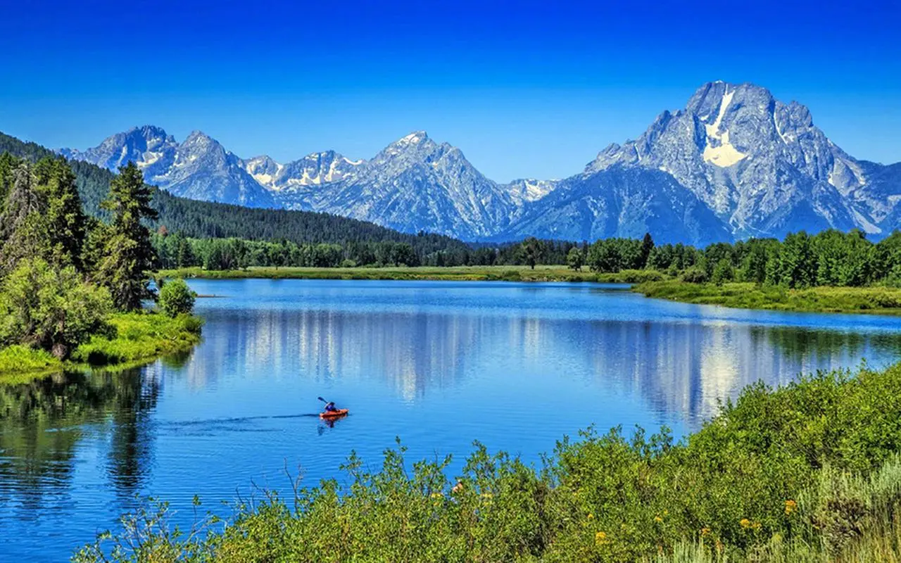 可靠性创意网络化